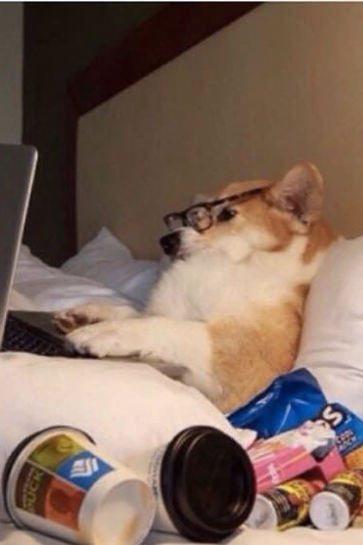 Homebody Life Podcast 